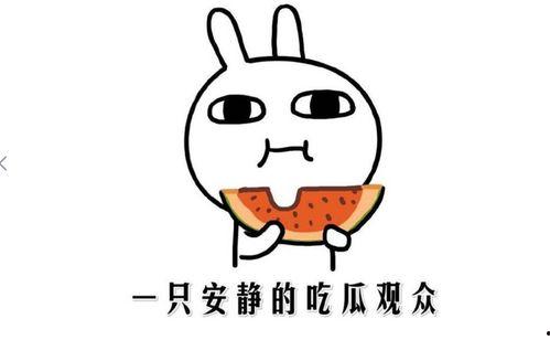 网络用词吃瓜什么意思